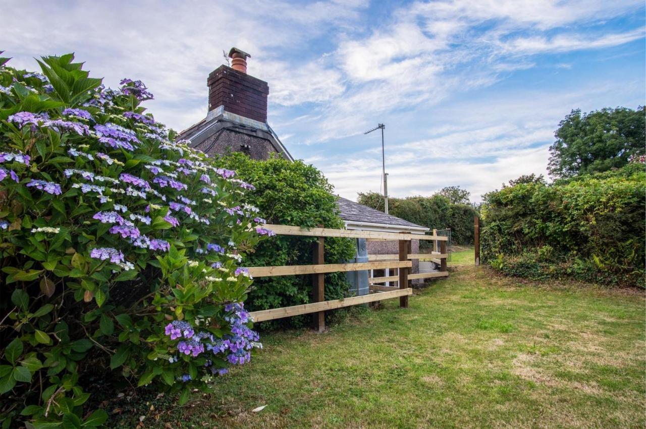 Holloway - 2 Bedroom Cottage - Stepaside Stepaside  Esterno foto